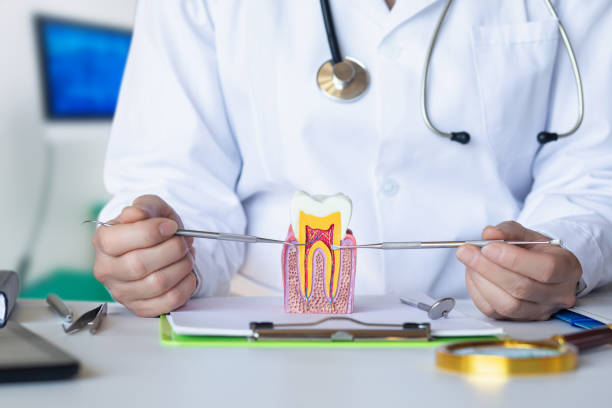 Best Emergency Treatment for Toothache in Aromas, CA